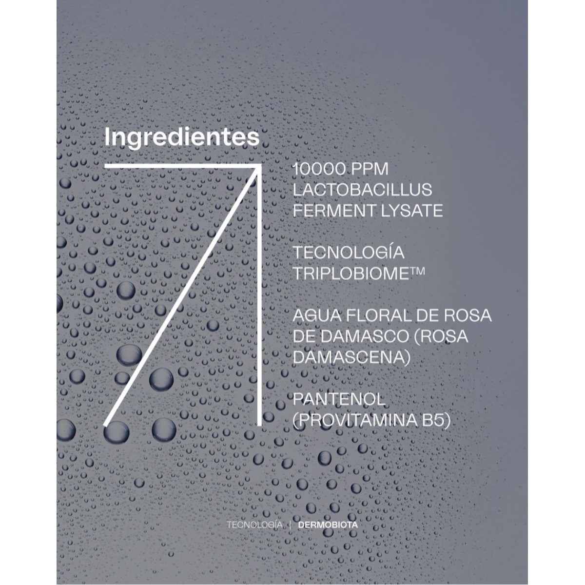 GH GEMA HERRERIAS BRUMA UNIVERSAL 100ML