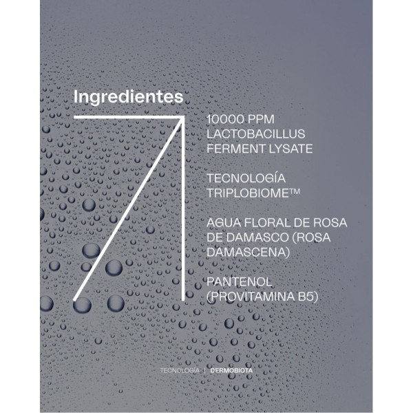 GH GEMA HERRERIAS BRUMA UNIVERSAL 100ML