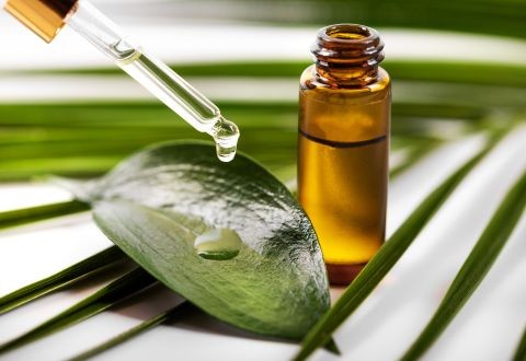 El Aceite del Árbol de Té: Tu Aliado Natural para Piel y Uñas Perfectas ✨