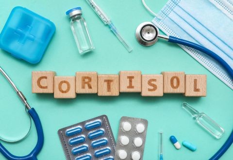 Hambre por Estrés: Cómo el Cortisol Sabotea tu Dieta de Invierno y Cómo Combatirlo